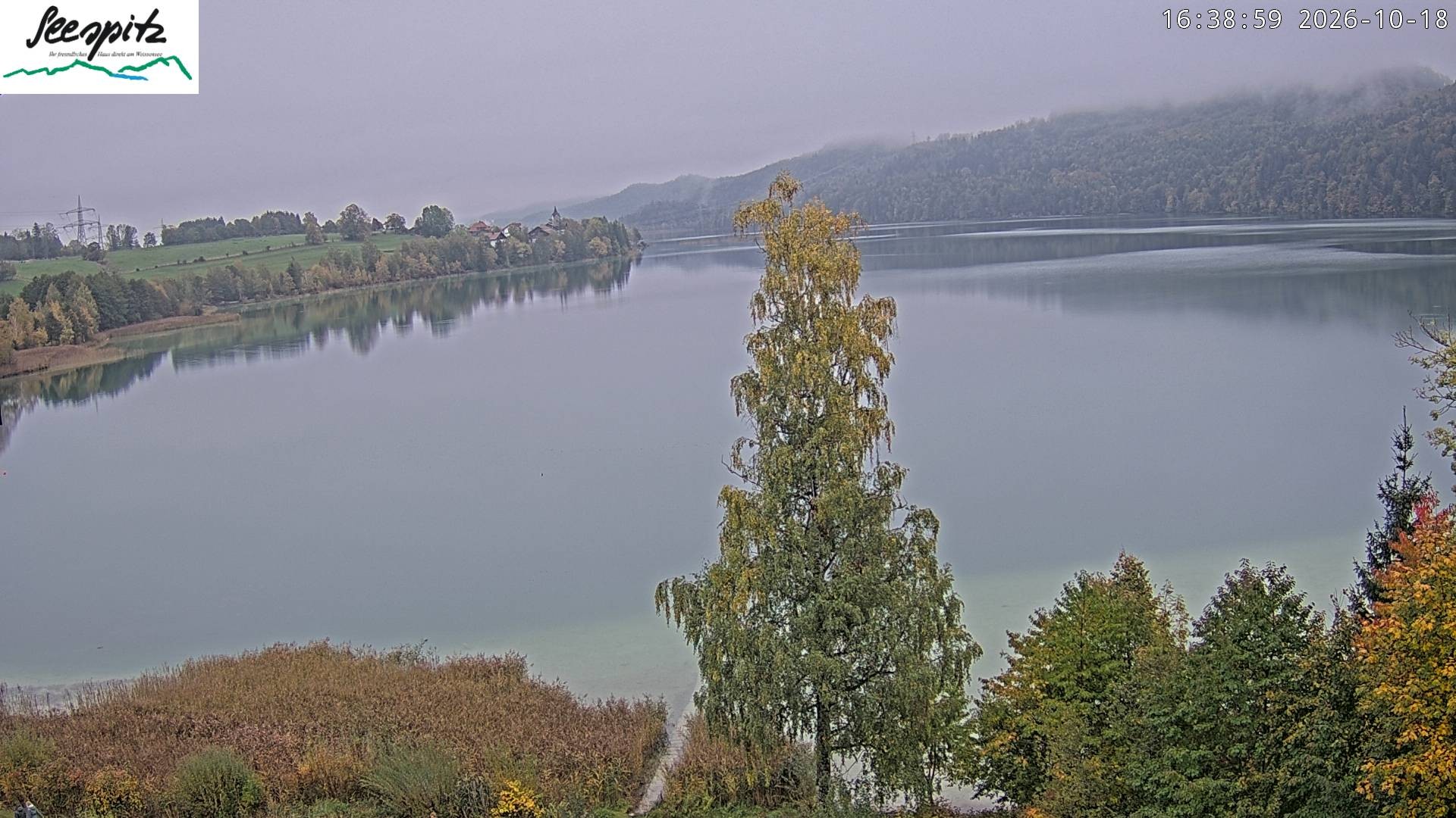 Archiv Foto Webcam Füssen: Blick auf den Weißensee vom Hotel Seespitz