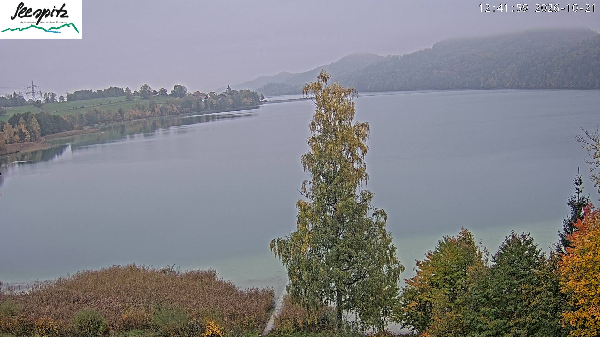 Archiv Foto Webcam Füssen: Blick auf den Weißensee vom Hotel Seespitz