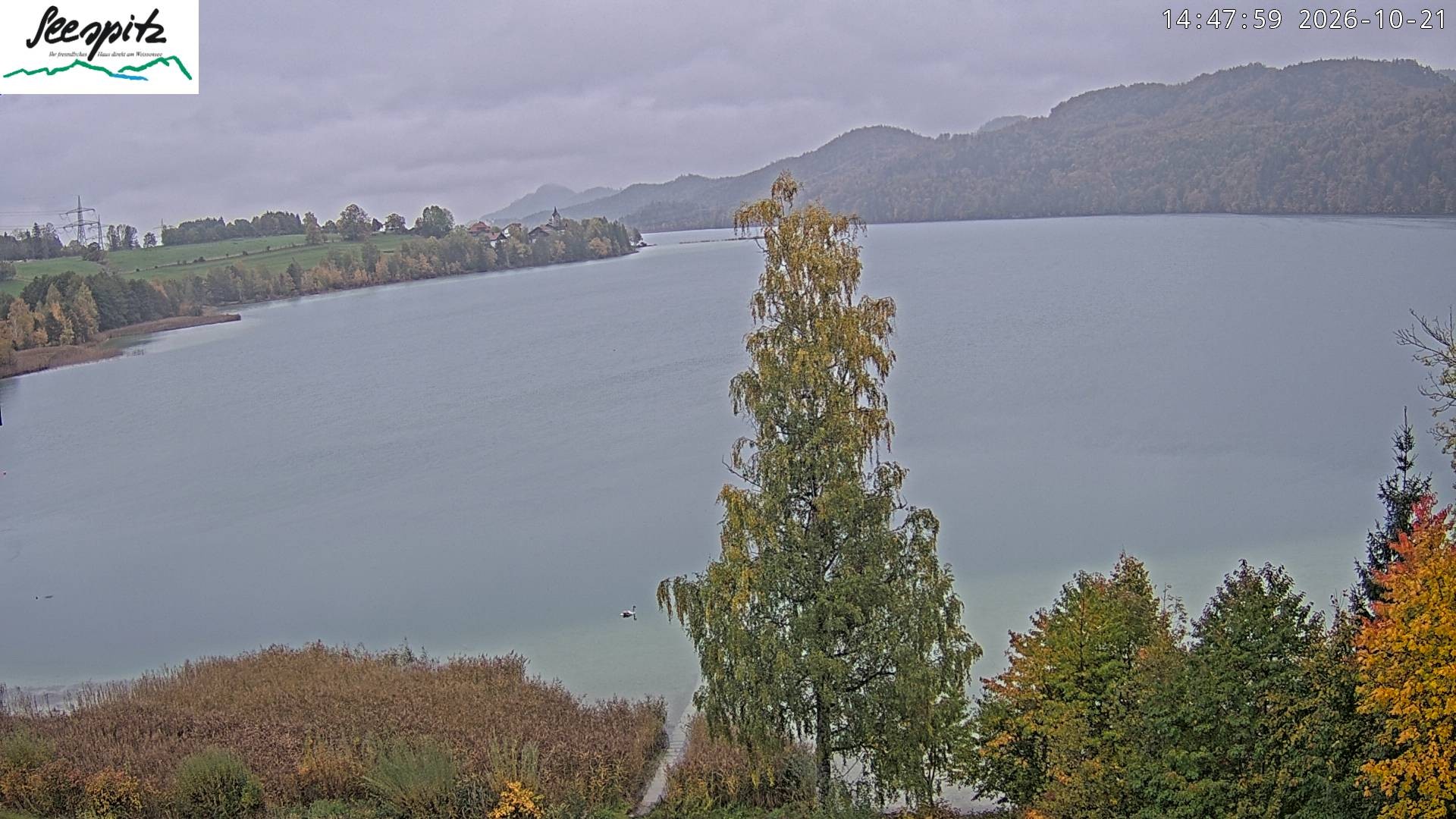 Archiv Foto Webcam Füssen: Blick auf den Weißensee vom Hotel Seespitz