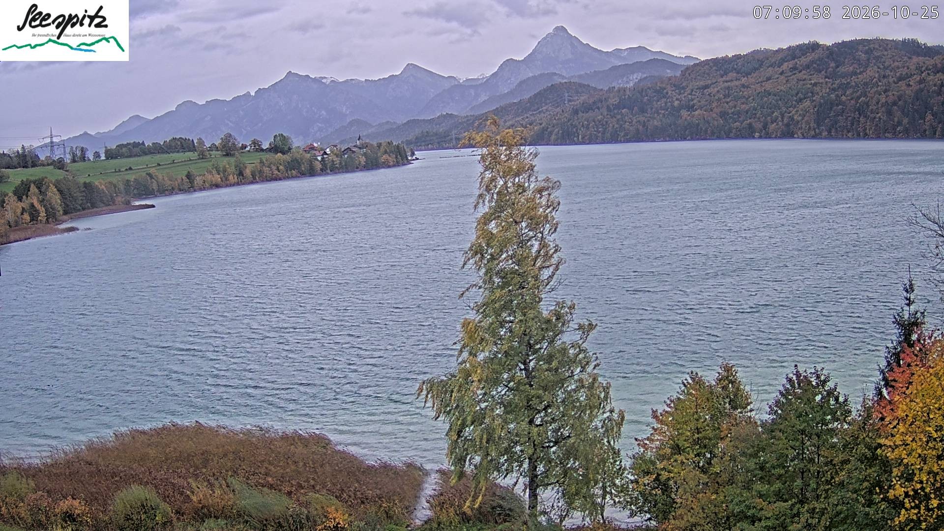 Archiv Foto Webcam Füssen: Blick auf den Weißensee vom Hotel Seespitz