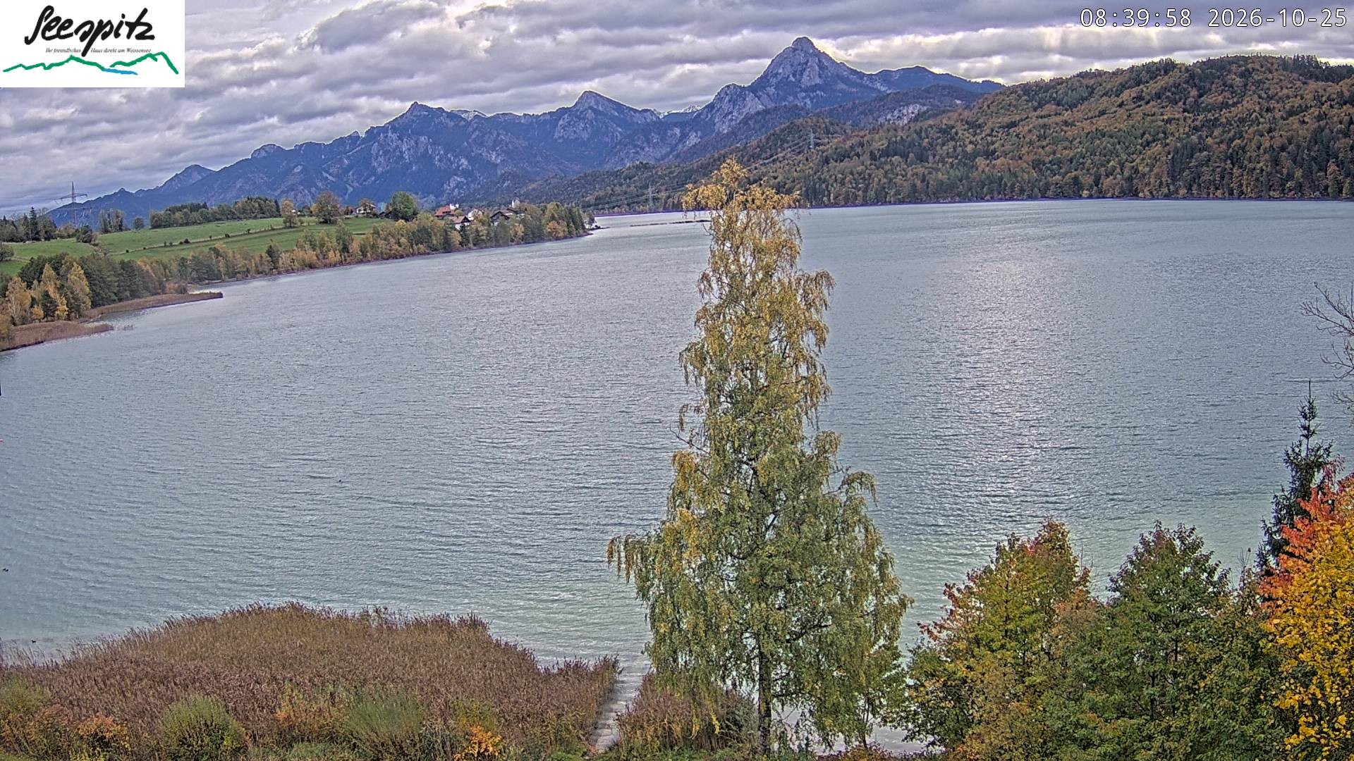 Archiv Foto Webcam Füssen: Blick auf den Weißensee vom Hotel Seespitz