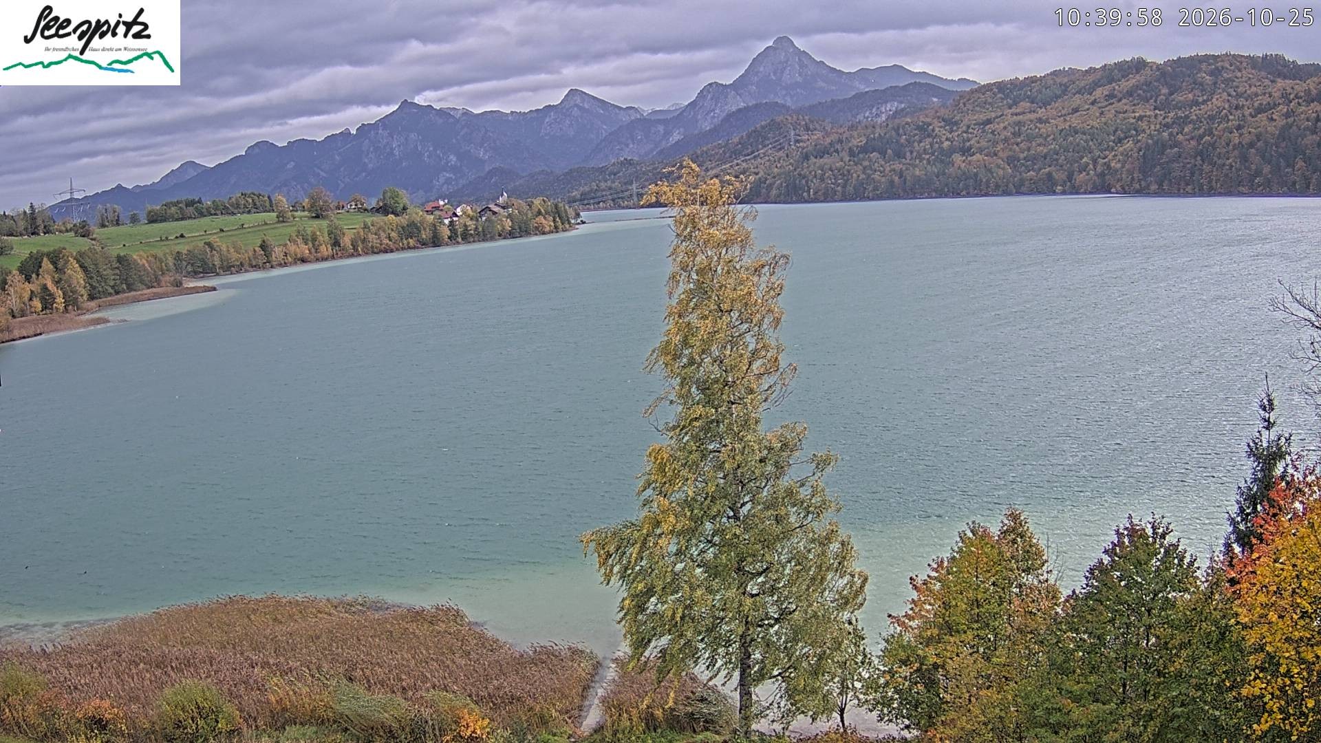 Archived image Webcam Weissensee near Füssen