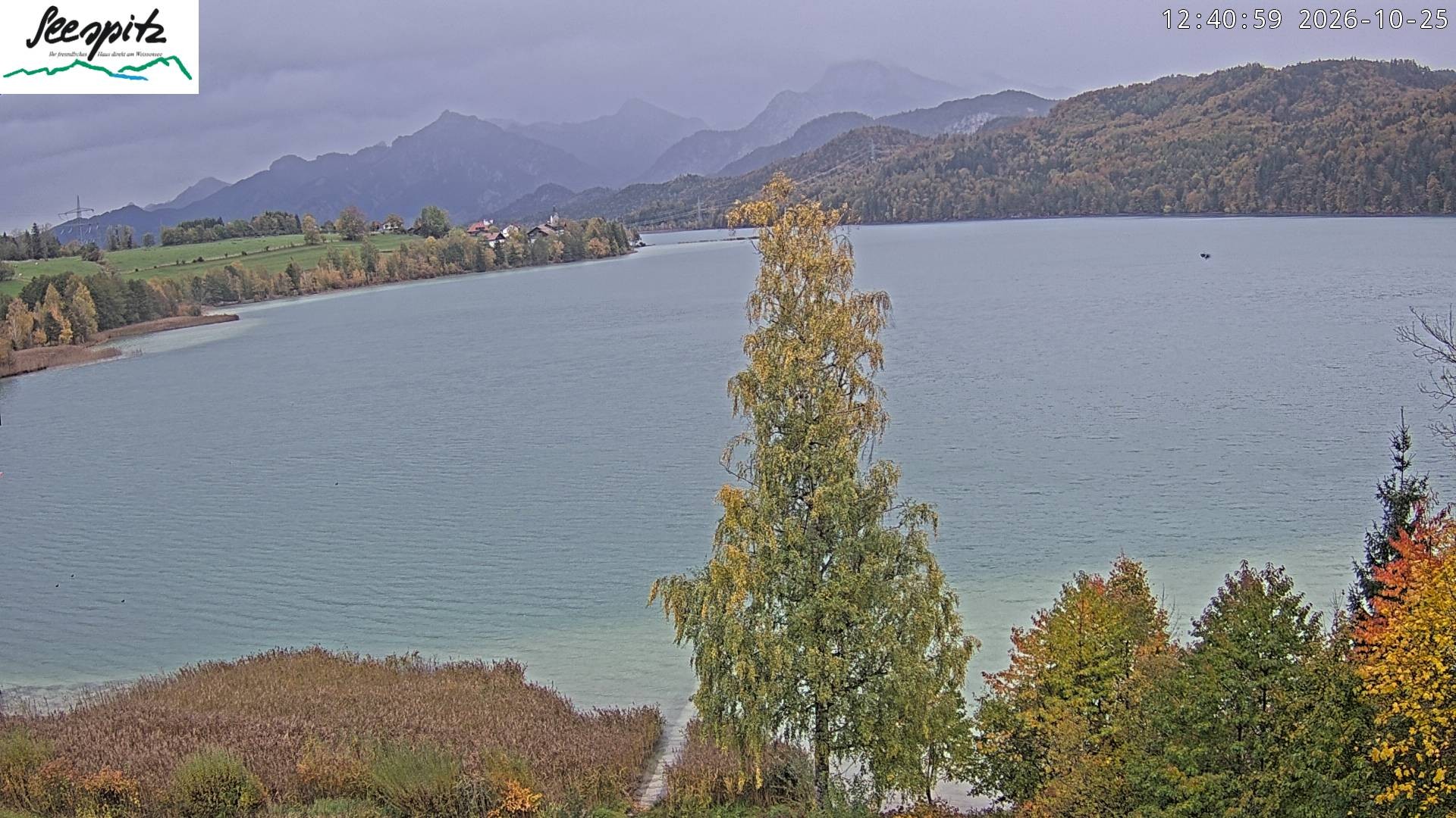 Archived image Webcam Weissensee near Füssen