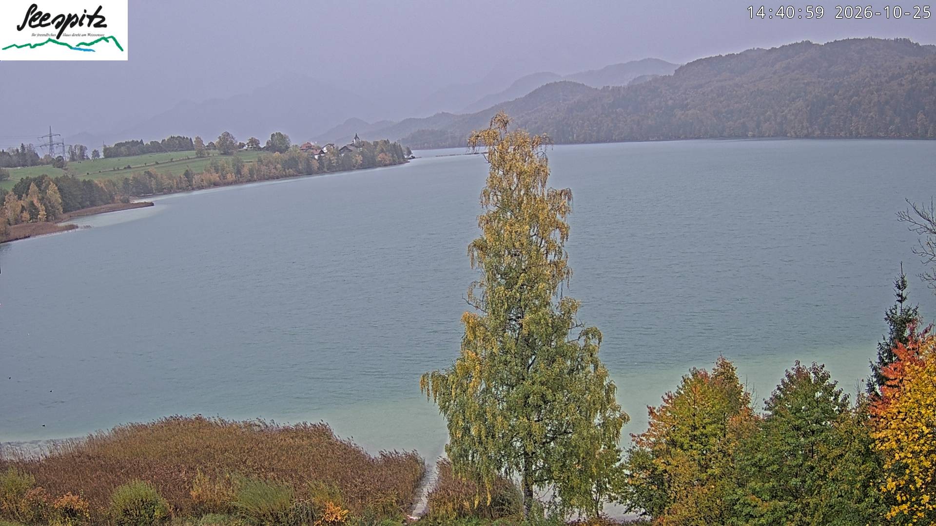 Archived image Webcam Weissensee near Füssen