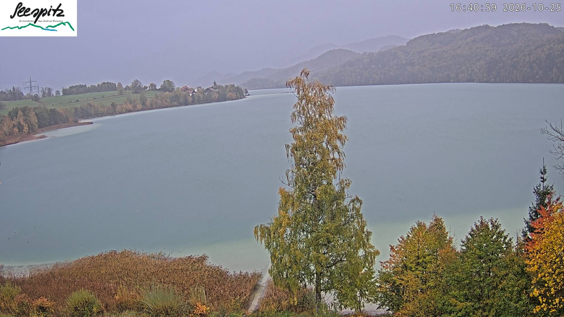 Archived image Webcam Weissensee near Füssen