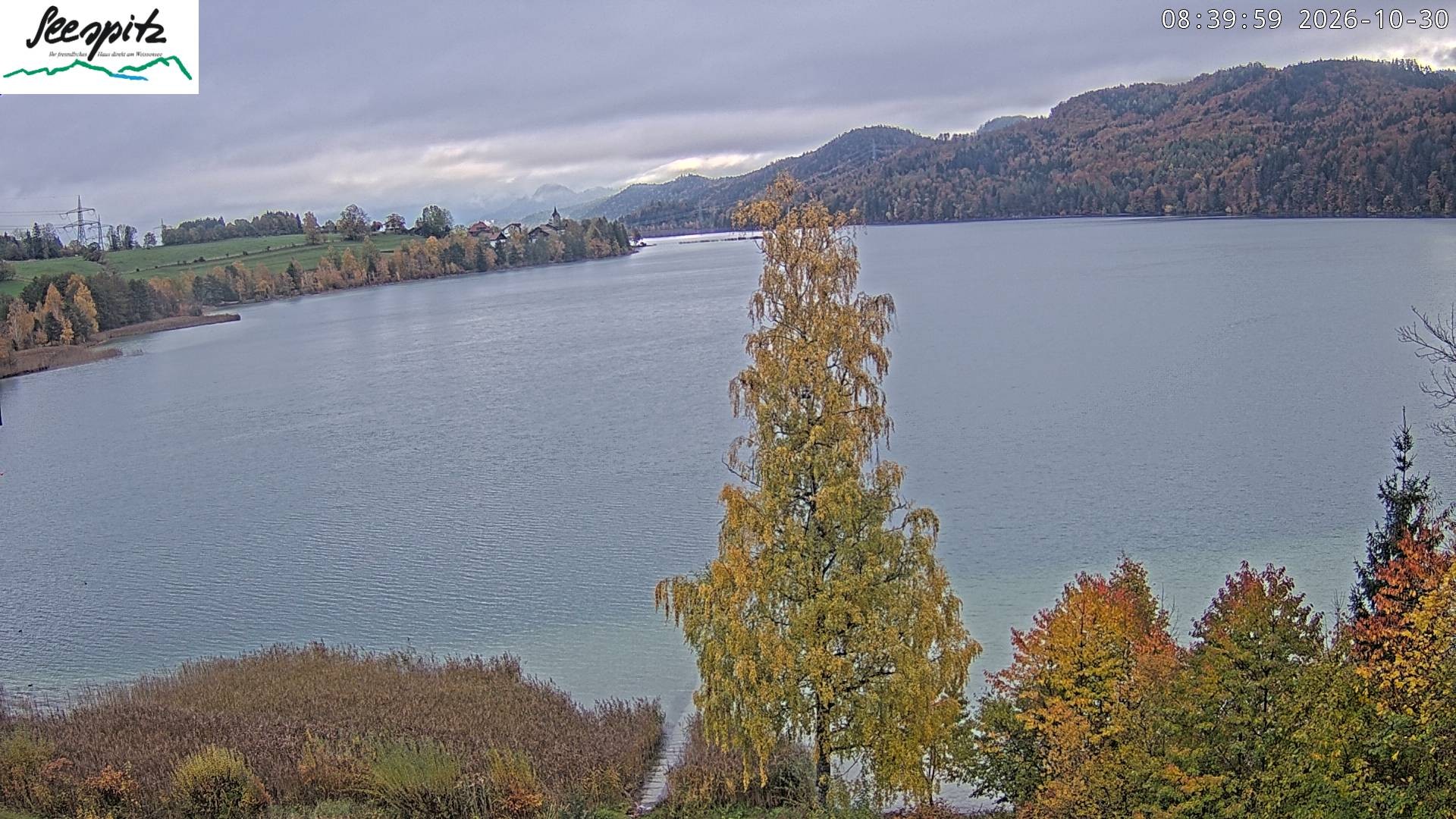 Archiv Foto Webcam Füssen: Blick auf den Weißensee vom Hotel Seespitz