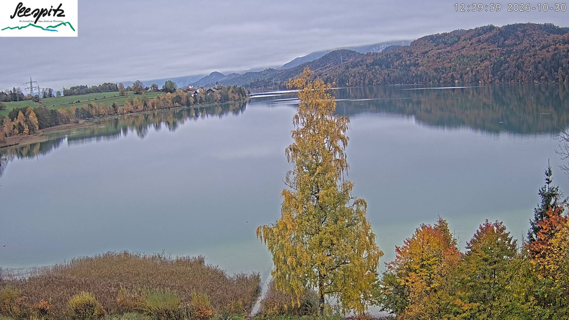 Archived image Webcam Weissensee near Füssen