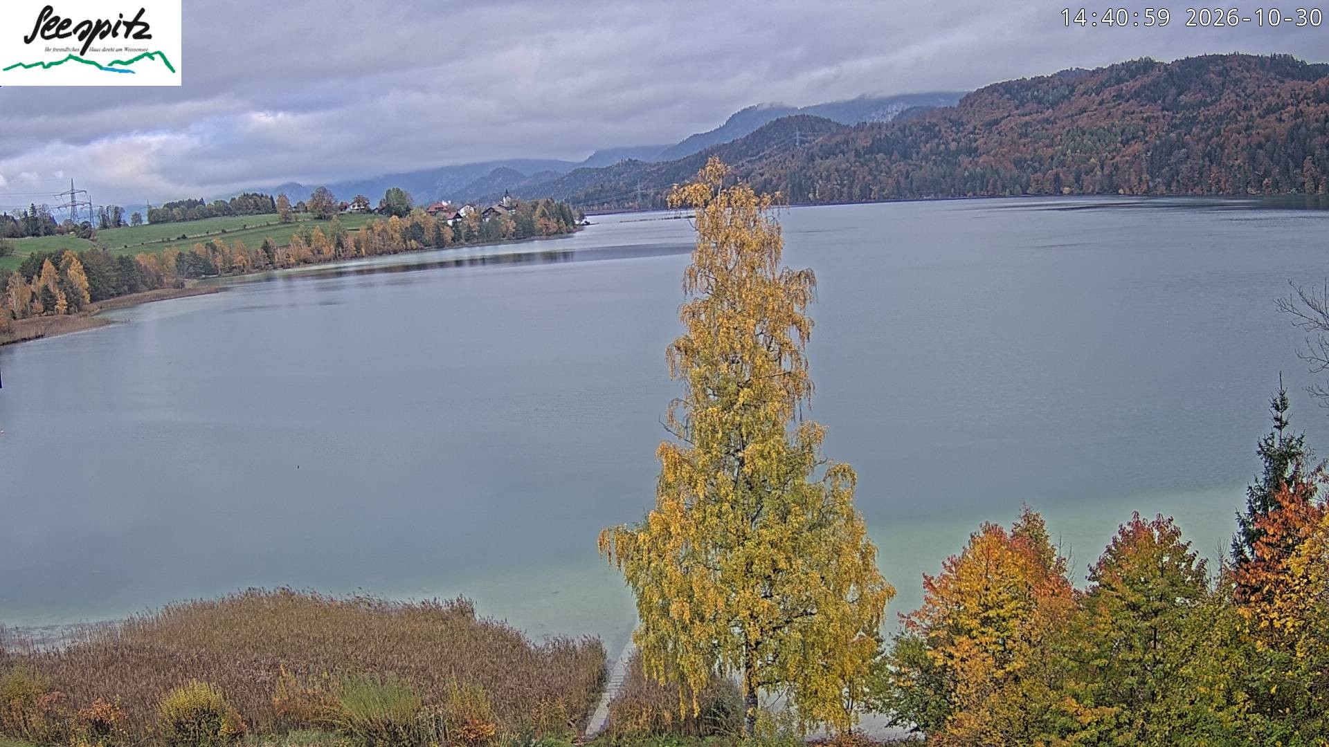 Archived image Webcam Weissensee near Füssen