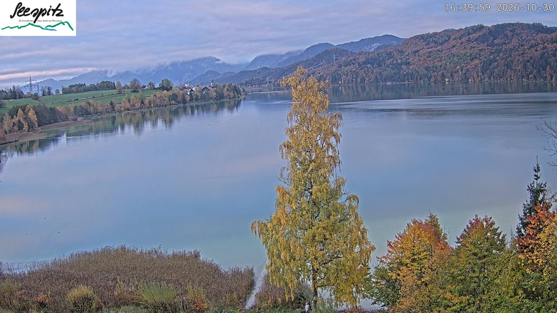 Archived image Webcam Weissensee near Füssen