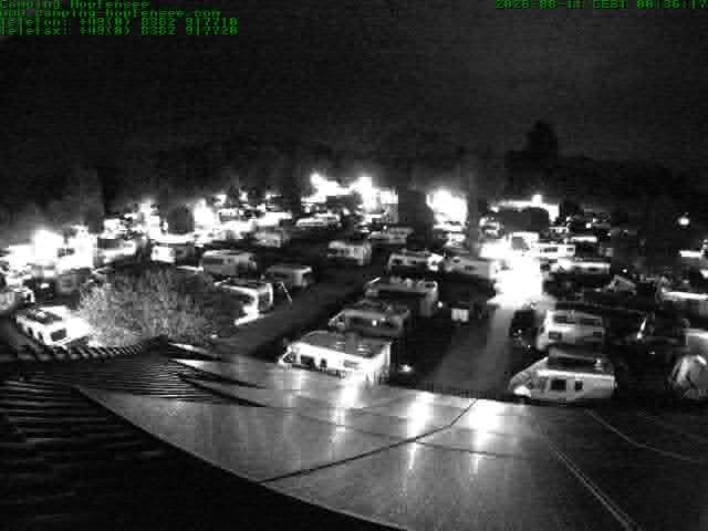 Archiv Foto Webcam Blick auf den Campingplatz am Hopfensee