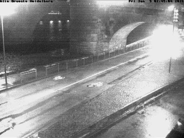 Archiv Foto Webcam Heidelberg: Alte Brücke am Neckar