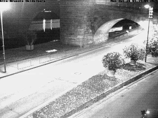 Archiv Foto Webcam Heidelberg: Alte Brücke am Neckar