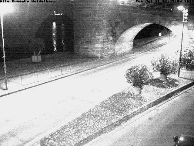 Archiv Foto Webcam Heidelberg: Alte Brücke am Neckar