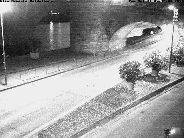 Archiv Foto Webcam Heidelberg: Alte Brücke am Neckar