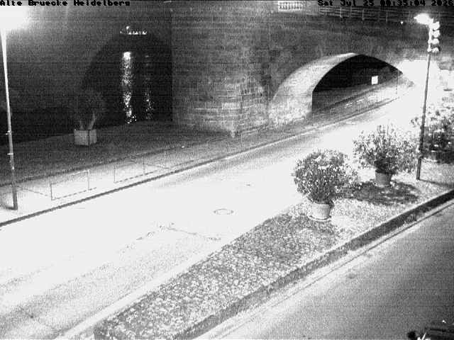 Archiv Foto Webcam Heidelberg: Alte Brücke am Neckar