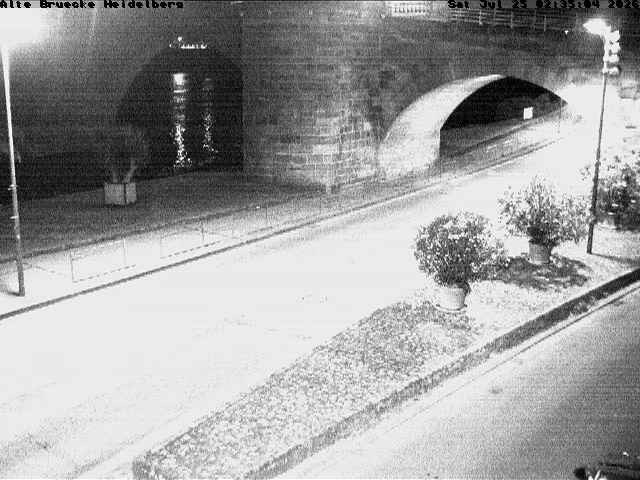 Archiv Foto Webcam Heidelberg: Alte Brücke am Neckar