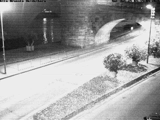 Archiv Foto Webcam Heidelberg: Alte Brücke am Neckar