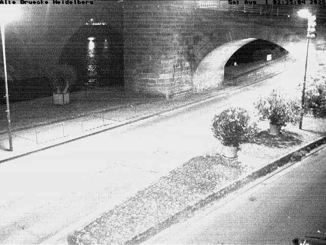 Archiv Foto Webcam Heidelberg: Alte Brücke am Neckar