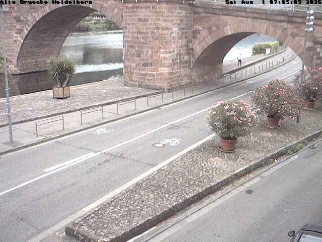 Archiv Foto Webcam Heidelberg: Alte Brücke am Neckar