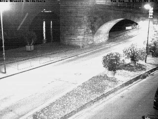 Archiv Foto Webcam Heidelberg: Alte Brücke am Neckar