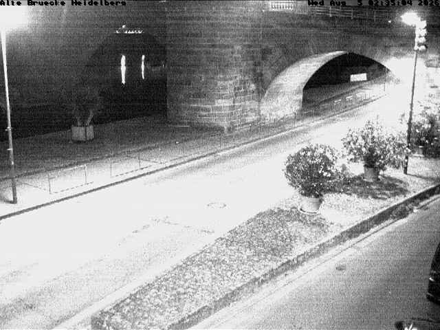 Archiv Foto Webcam Heidelberg: Alte Brücke am Neckar