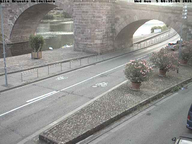 Archiv Foto Webcam Heidelberg: Alte Brücke am Neckar