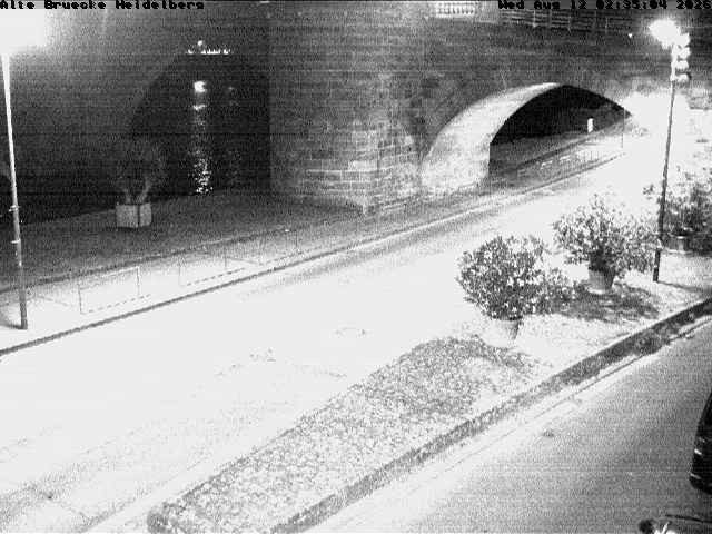 Archiv Foto Webcam Heidelberg: Alte Brücke am Neckar