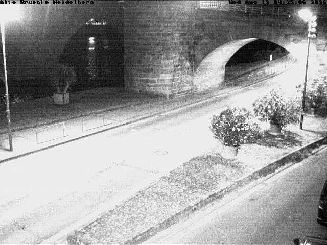 Archiv Foto Webcam Heidelberg: Alte Brücke am Neckar