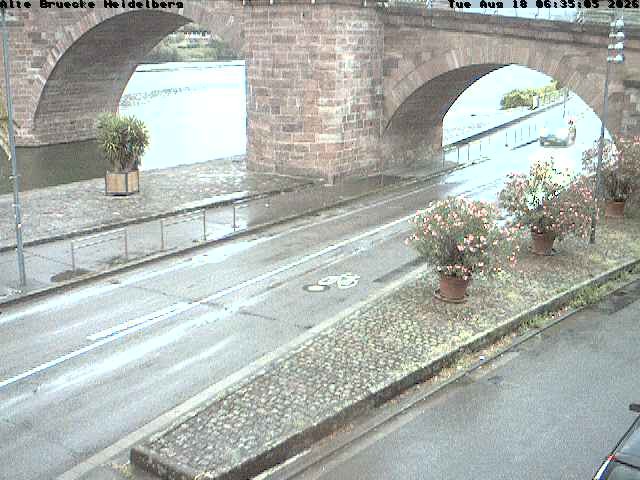 Archiv Foto Webcam Heidelberg: Alte Brücke am Neckar