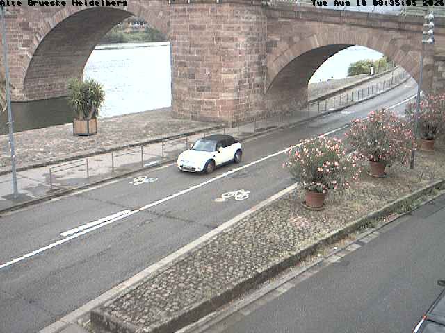Archiv Foto Webcam Heidelberg: Alte Brücke am Neckar