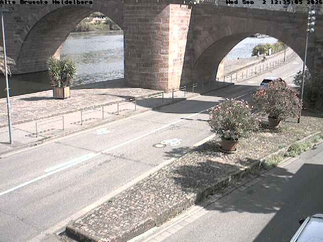 Archiv Foto Webcam Heidelberg: Alte Brücke am Neckar