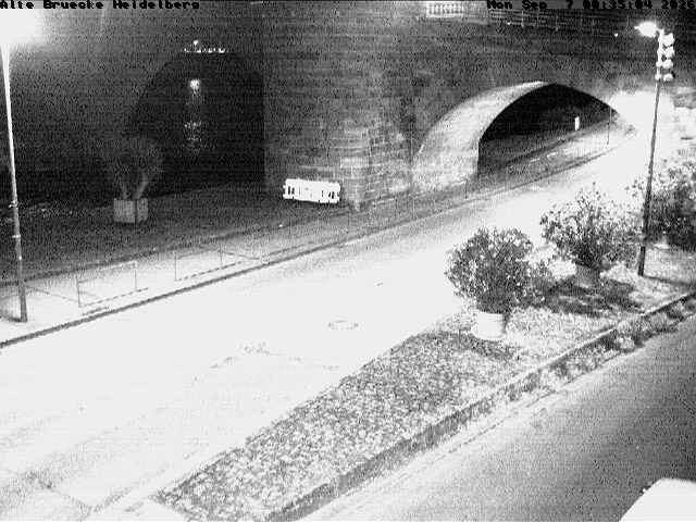 Archiv Foto Webcam Heidelberg: Alte Brücke am Neckar