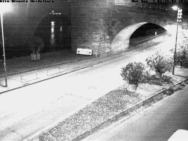 Archiv Foto Webcam Heidelberg: Alte Brücke am Neckar
