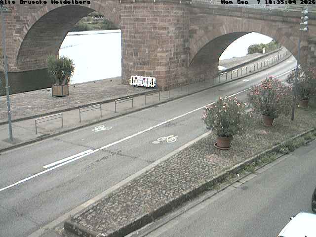 Archiv Foto Webcam Heidelberg: Alte Brücke am Neckar