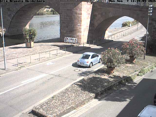 Archiv Foto Webcam Heidelberg: Alte Brücke am Neckar