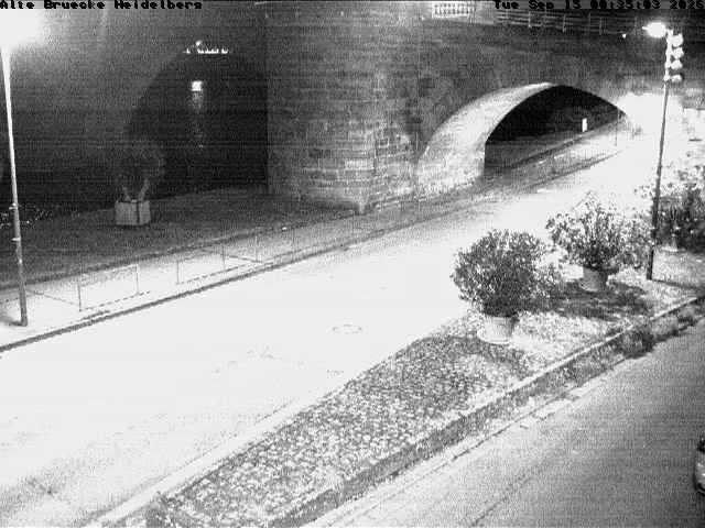 Archiv Foto Webcam Heidelberg: Alte Brücke am Neckar