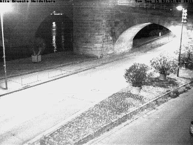 Archiv Foto Webcam Heidelberg: Alte Brücke am Neckar