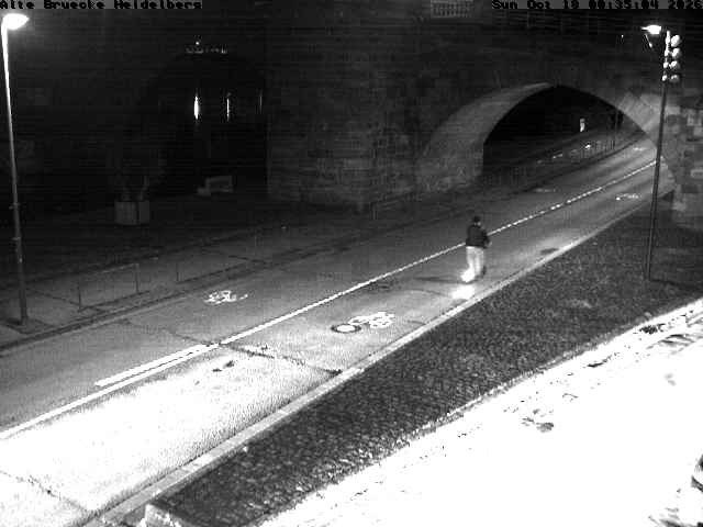 Archiv Foto Webcam Heidelberg: Alte Brücke am Neckar
