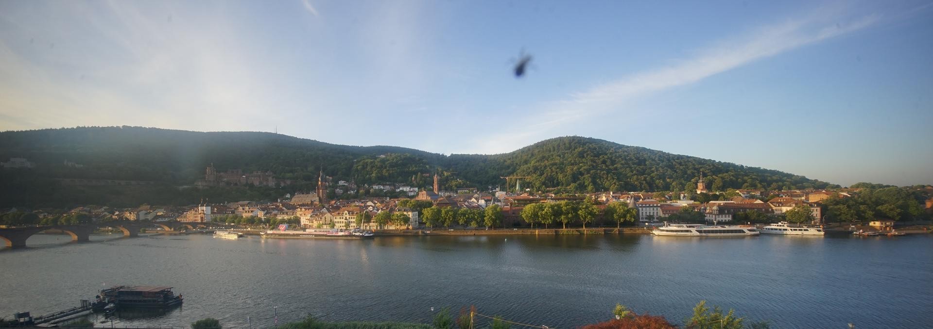 Archiv Foto Webcam Panoramablick auf Heidelberg