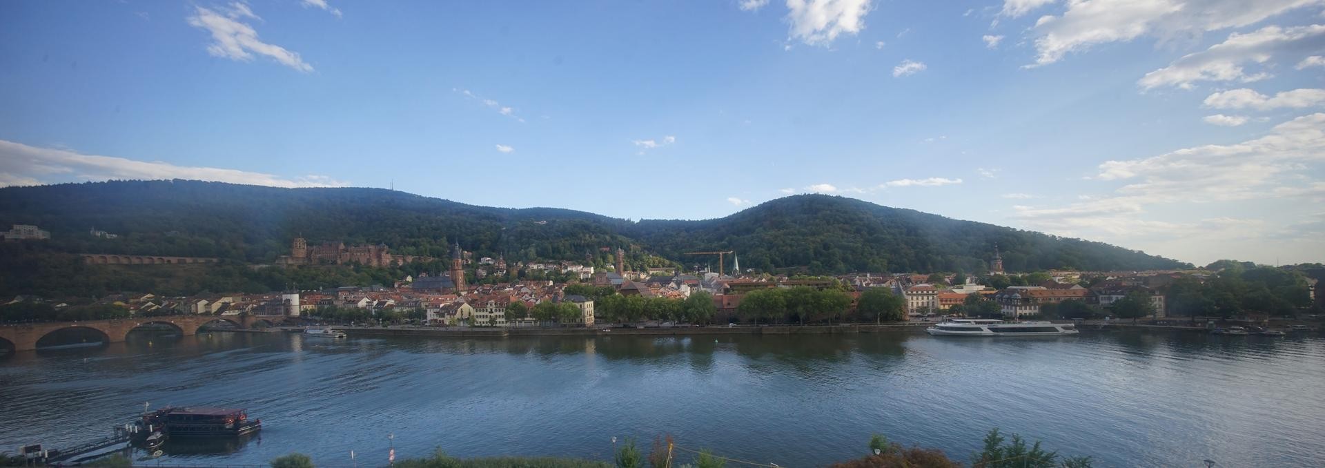 Archived image Webcam Panoramic view of Heidelberg