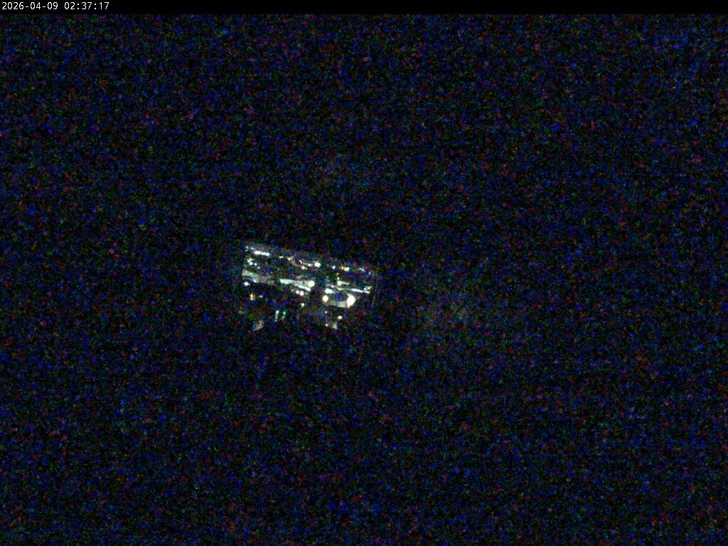 Archiv Foto Webcam Aachener Dom: Blick auf die Falken im Westturm