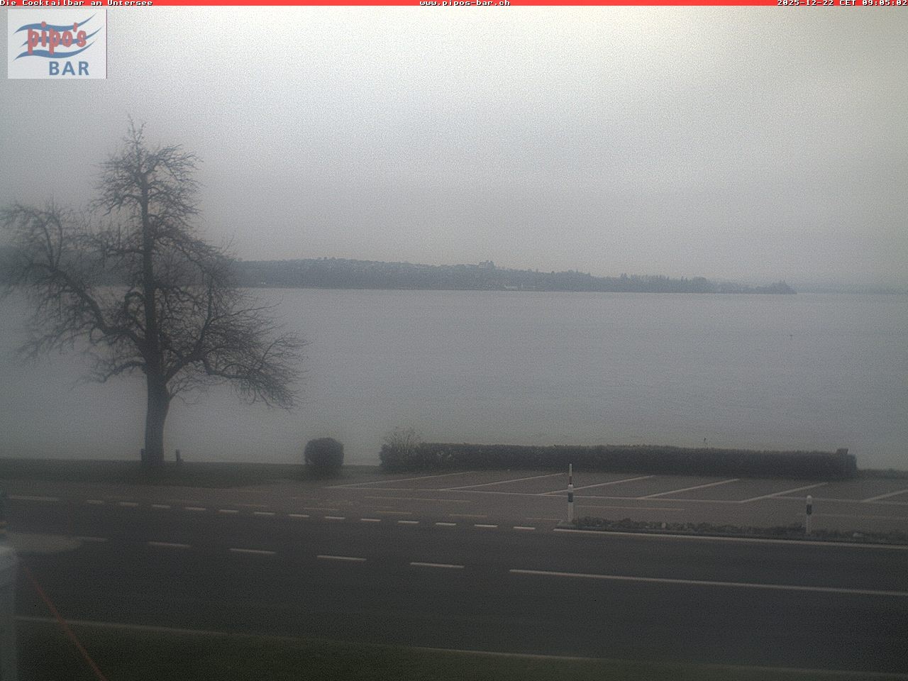 Archiv Foto Webcam Berlingen - Blick auf den Untersee