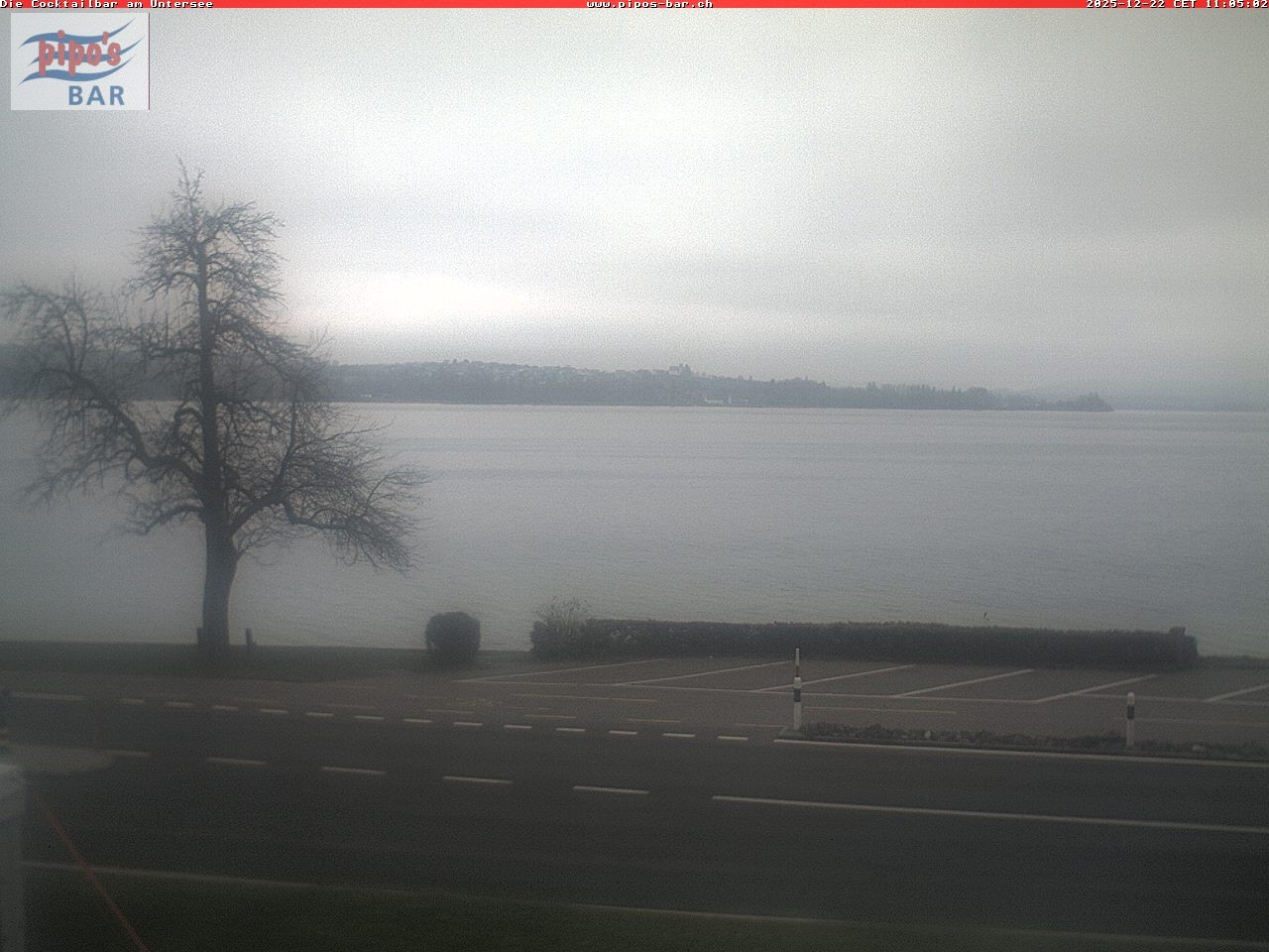 Archiv Foto Webcam Berlingen - Blick auf den Untersee