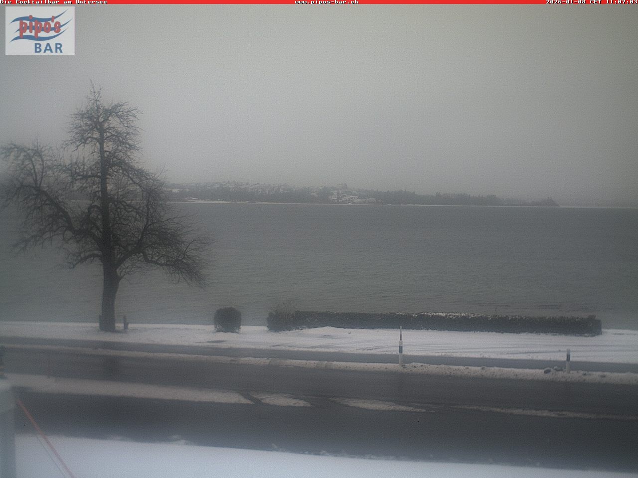 Archived image Webcam Untersee (Lake Constance)