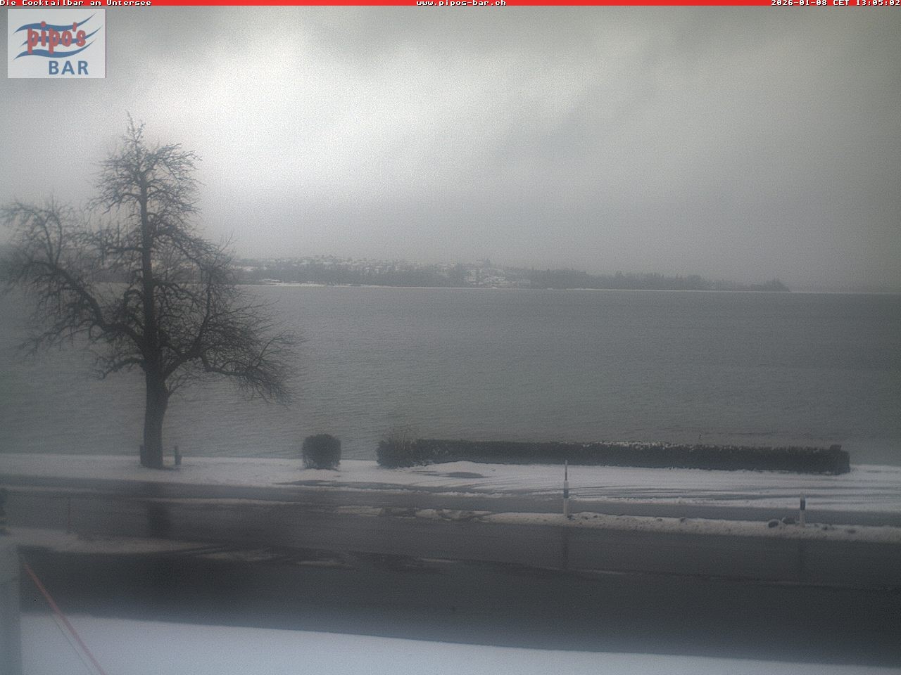Archived image Webcam Untersee (Lake Constance)