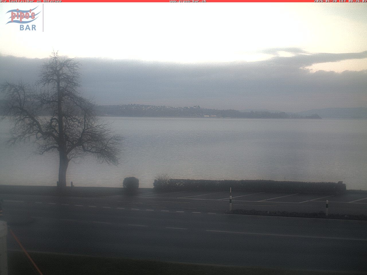Archiv Foto Webcam Berlingen - Blick auf den Untersee