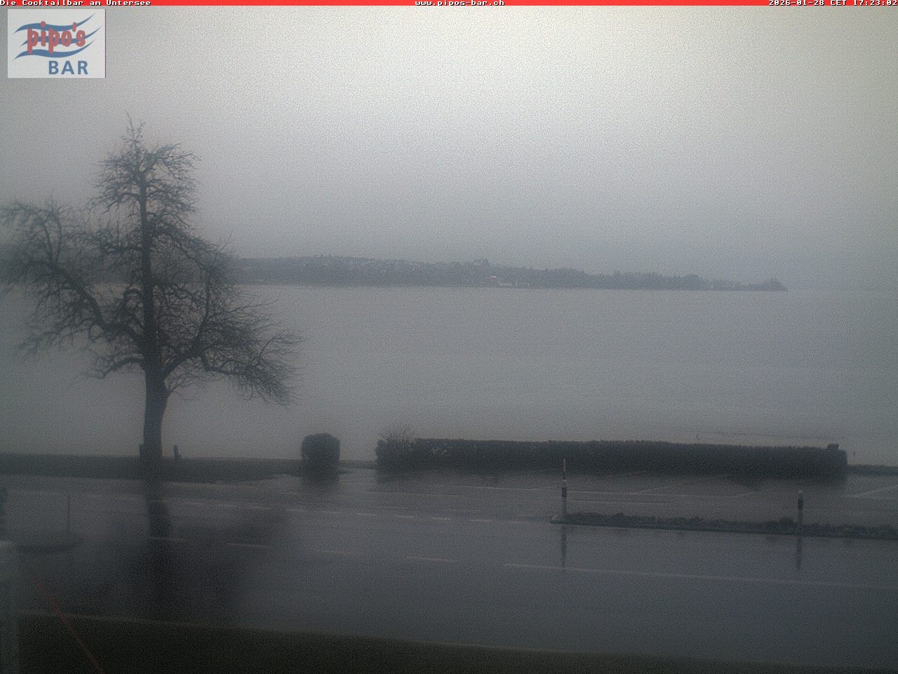 Archiv Foto Webcam Berlingen - Blick auf den Untersee