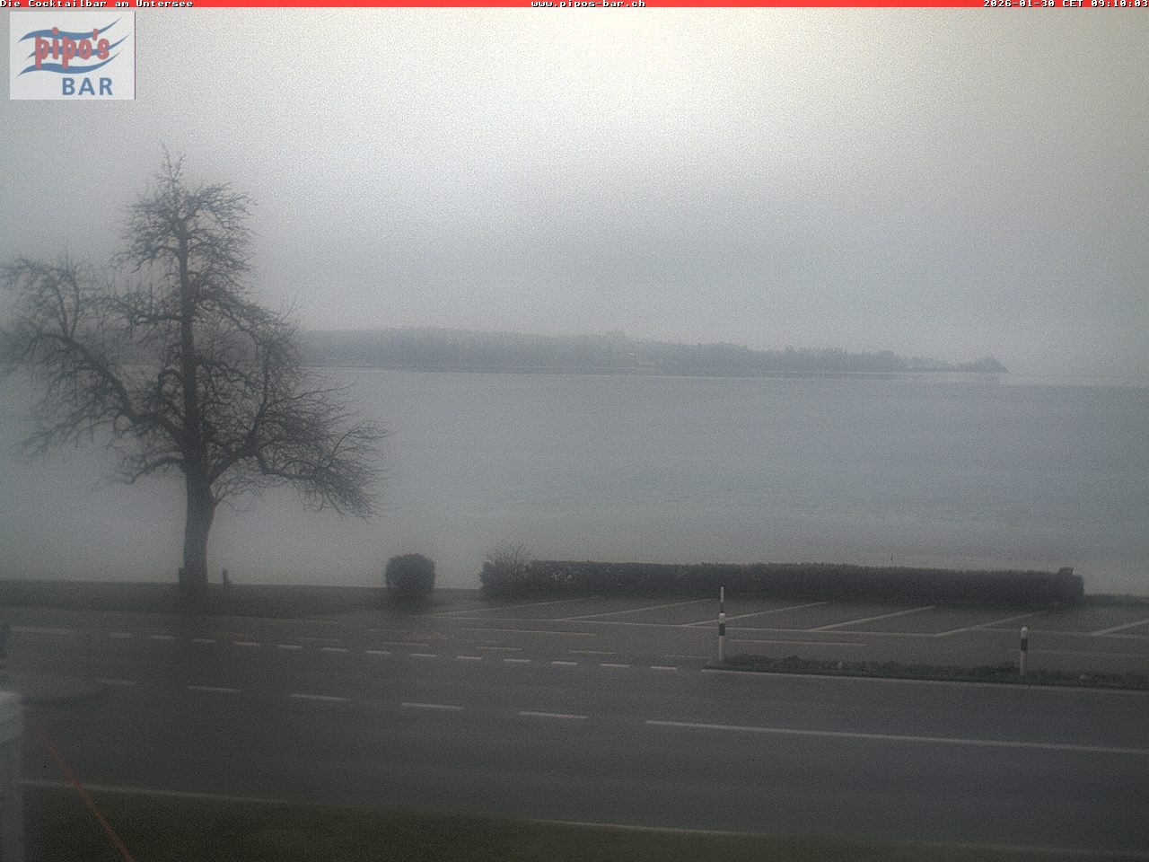 Archiv Foto Webcam Berlingen - Blick auf den Untersee