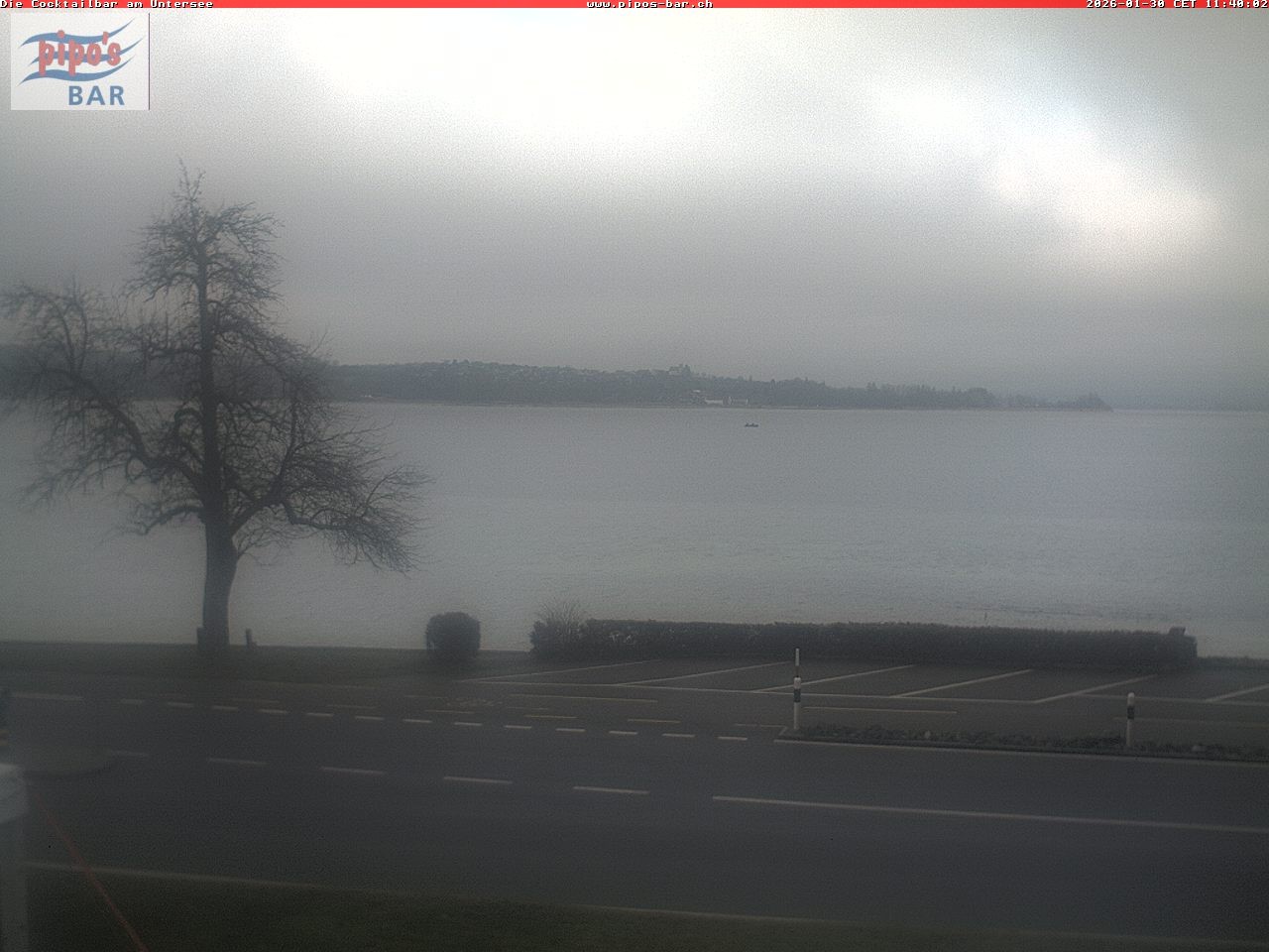 Archiv Foto Webcam Berlingen - Blick auf den Untersee