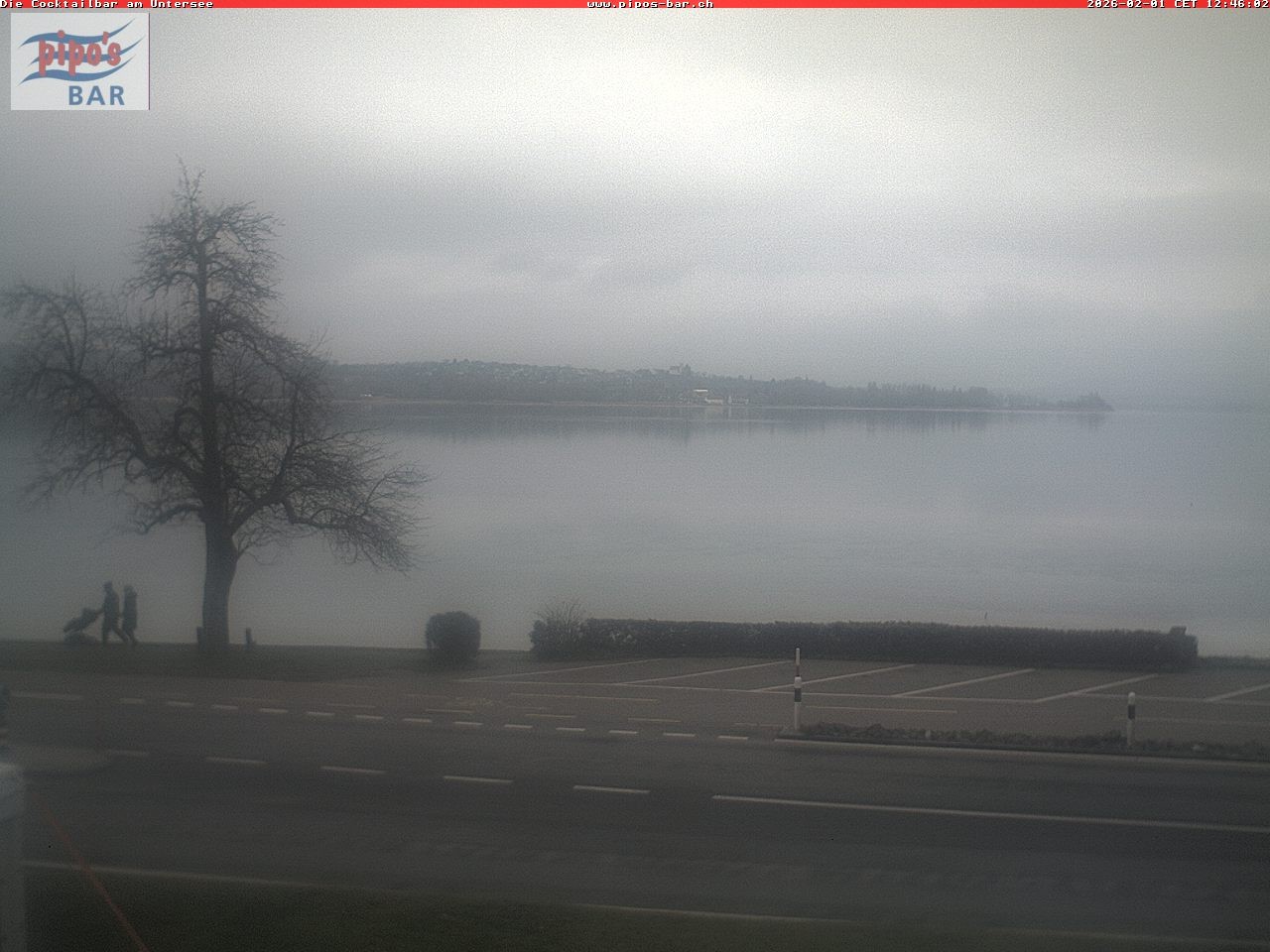 Archiv Foto Webcam Berlingen - Blick auf den Untersee